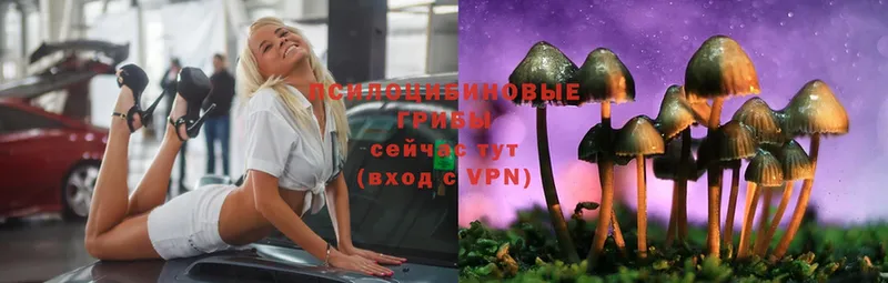 Галлюциногенные грибы Cubensis  Емва 